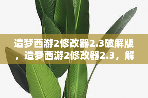 造梦西游2修改器2.3破解版,造梦西游2修改器2.3,解锁无限可能的冒险之旅 造梦西游2修改器2.3破解版,造梦西游2修改器2.3,解锁无限可能的冒险之旅