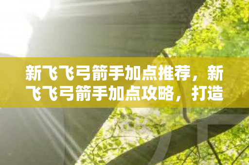 新飞飞弓箭手加点推荐,新飞飞弓箭手加点攻略,打造高效战斗力的关键 新飞飞弓箭手加点推荐,新飞飞弓箭手加点攻略,打造高效战斗力的关键
