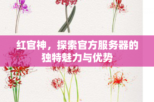 红官神,探索官方服务器的独特魅力与优势 红官神,探索官方服务器的独特魅力与优势