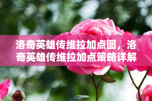 洛奇英雄传维拉加点图,洛奇英雄传维拉加点策略详解 洛奇英雄传维拉加点图,洛奇英雄传维拉加点策略详解