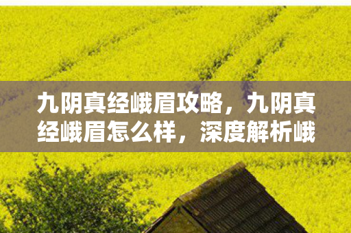 九阴真经峨眉攻略,九阴真经峨眉怎么样,深度解析峨眉派在游戏中的表现与特色 九阴真经峨眉攻略,九阴真经峨眉怎么样,深度解析峨眉派在游戏中的表现与特色