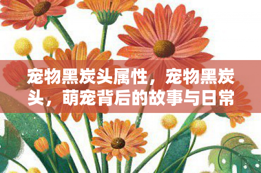 宠物黑炭头属性,宠物黑炭头,萌宠背后的故事与日常养护指南 宠物黑炭头属性,宠物黑炭头,萌宠背后的故事与日常养护指南
