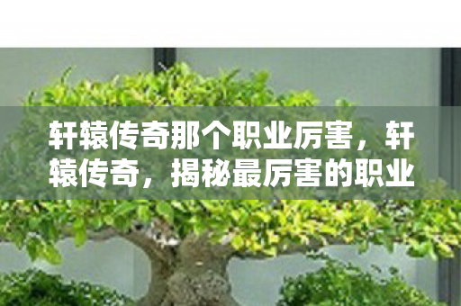 轩辕传奇那个职业厉害，轩辕传奇，揭秘最厉害的职业