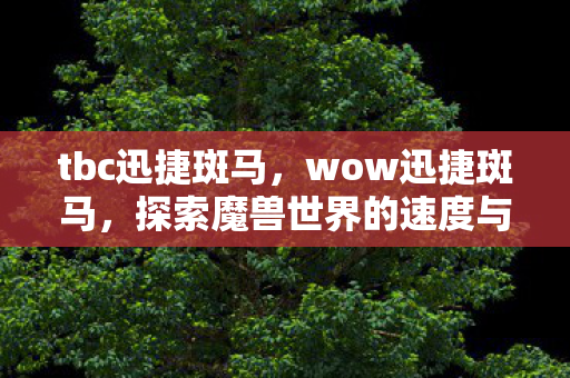 tbc迅捷斑马，wow迅捷斑马，探索魔兽世界的速度与激情