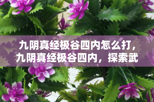 九阴真经极谷四内怎么打，九阴真经极谷四内，探索武侠世界的深层奥秘