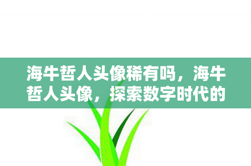 海牛哲人头像稀有吗，海牛哲人头像，探索数字时代的自我表达与个性塑造