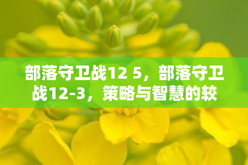部落守卫战12 5,部落守卫战12-3,策略与智慧的较量 部落守卫战12 5,部落守卫战12-3,策略与智慧的较量
