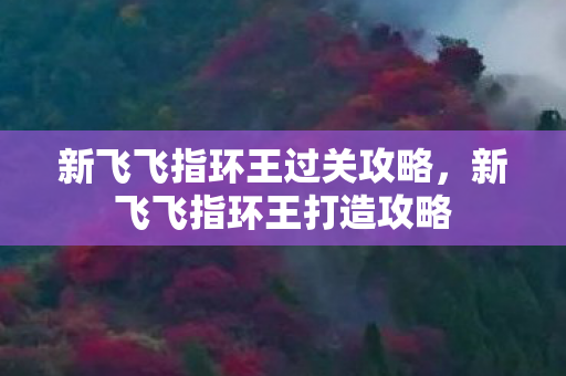 新飞飞指环王过关攻略,新飞飞指环王打造攻略 新飞飞指环王过关攻略,新飞飞指环王打造攻略
