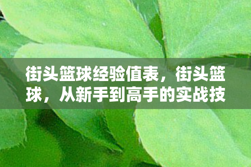 街头篮球经验值表，街头篮球，从新手到高手的实战技巧与心得