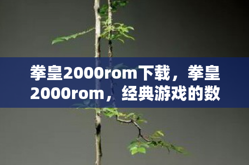 拳皇2000rom下载，拳皇2000rom，经典游戏的数字记忆
