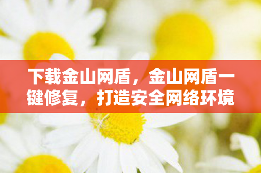 下载金山网盾,金山网盾一键修复,打造安全网络环境的利器 下载金山网盾,金山网盾一键修复,打造安全网络环境的利器
