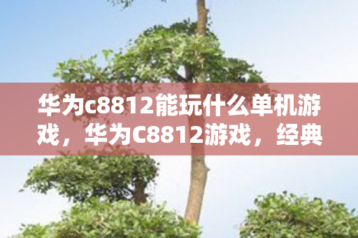 华为c8812能玩什么单机游戏，华为C8812游戏，经典再现，畅享移动娱乐新体验