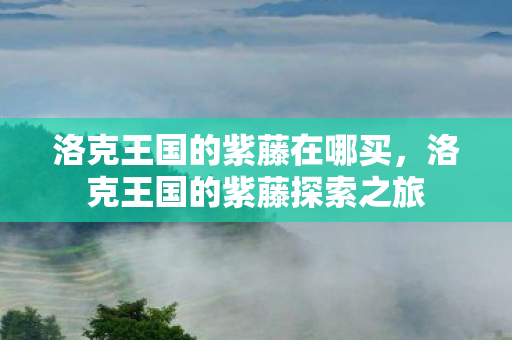洛克王国的紫藤在哪买,洛克王国的紫藤探索之旅 洛克王国的紫藤在哪买,洛克王国的紫藤探索之旅