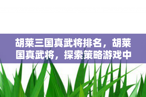 胡莱三国真武将排名,胡莱国真武将,探索策略游戏中的英雄之旅 胡莱三国真武将排名,胡莱国真武将,探索策略游戏中的英雄之旅