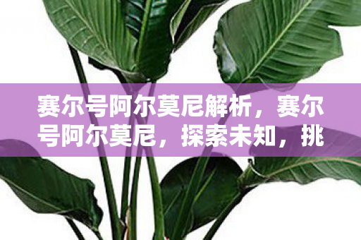 赛尔号阿尔莫尼解析,赛尔号阿尔莫尼,探索未知,挑战极限的奇幻之旅 赛尔号阿尔莫尼解析,赛尔号阿尔莫尼,探索未知,挑战极限的奇幻之旅