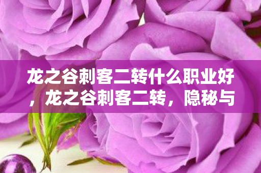 龙之谷刺客二转什么职业好,龙之谷刺客二转,隐秘与致命的艺术 龙之谷刺客二转什么职业好,龙之谷刺客二转,隐秘与致命的艺术