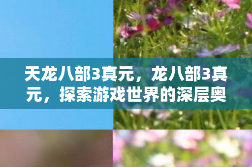 天龙八部3真元，龙八部3真元，探索游戏世界的深层奥秘