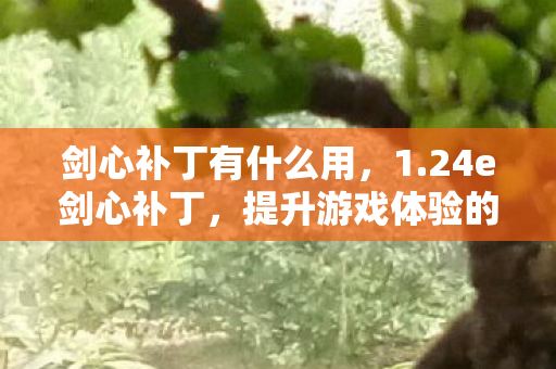 剑心补丁有什么用,1.24e剑心补丁,提升游戏体验的必备神器 剑心补丁有什么用,1.24e剑心补丁,提升游戏体验的必备神器