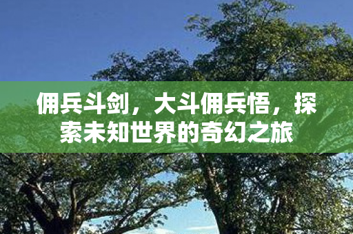佣兵斗剑,大斗佣兵悟,探索未知世界的奇幻之旅 佣兵斗剑,大斗佣兵悟,探索未知世界的奇幻之旅