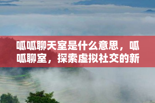 呱呱聊天室是什么意思,呱呱聊室,探索虚拟社交的新天地 呱呱聊天室是什么意思,呱呱聊室,探索虚拟社交的新天地