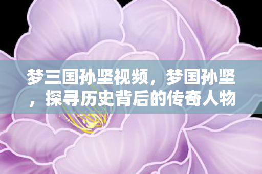 梦三国孙坚视频,梦国孙坚,探寻历史背后的传奇人物 梦三国孙坚视频,梦国孙坚,探寻历史背后的传奇人物
