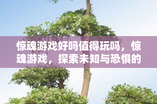 惊魂游戏好吗值得玩吗,惊魂游戏,探索未知与恐惧的边界 惊魂游戏好吗值得玩吗,惊魂游戏,探索未知与恐惧的边界