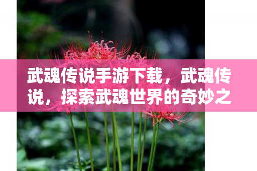 武魂传说手游下载,武魂传说,探索武魂世界的奇妙之旅 武魂传说手游下载,武魂传说,探索武魂世界的奇妙之旅