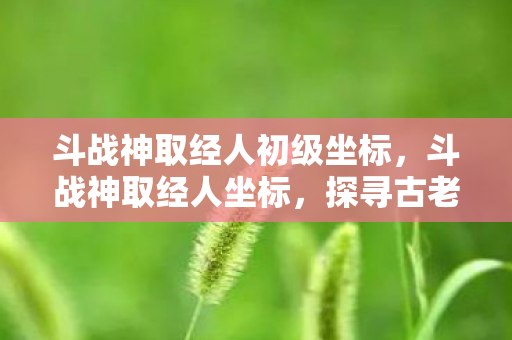 斗战神取经人初级坐标,斗战神取经人坐标,探寻古老传说与现代游戏的奇妙交汇 斗战神取经人初级坐标,斗战神取经人坐标,探寻古老传说与现代游戏的奇妙交汇