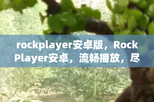 rockplayer安卓版,RockPlayer安卓,流畅播放,尽享高清影音 rockplayer安卓版,RockPlayer安卓,流畅播放,尽享高清影音