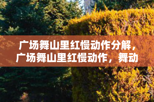 广场舞山里红慢动作分解,广场舞山里红慢动作,舞动心灵的旋律 广场舞山里红慢动作分解,广场舞山里红慢动作,舞动心灵的旋律