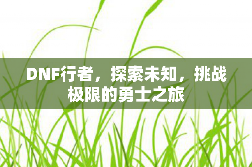 DNF行者,探索未知,挑战极限的勇士之旅 DNF行者,探索未知,挑战极限的勇士之旅