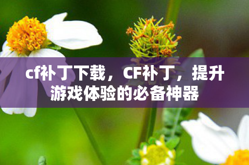 cf补丁下载,CF补丁,提升游戏体验的必备神器 cf补丁下载,CF补丁,提升游戏体验的必备神器