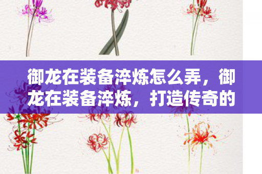 御龙在装备淬炼怎么弄，御龙在装备淬炼，打造传奇的奥秘