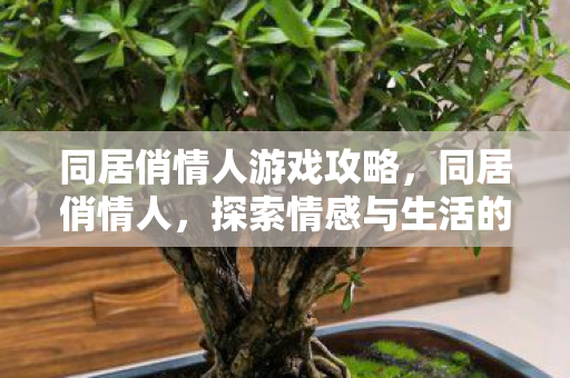 同居俏情人游戏攻略,同居俏情人,探索情感与生活的微妙平衡 同居俏情人游戏攻略,同居俏情人,探索情感与生活的微妙平衡