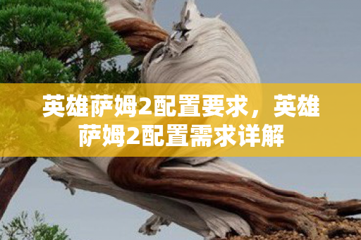 英雄萨姆2配置要求,英雄萨姆2配置需求详解 英雄萨姆2配置要求,英雄萨姆2配置需求详解
