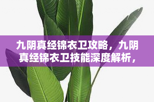 九阴真经锦衣卫攻略,九阴真经锦衣卫技能深度解析,铁血丹心与幽冥鬼爪 九阴真经锦衣卫攻略,九阴真经锦衣卫技能深度解析,铁血丹心与幽冥鬼爪