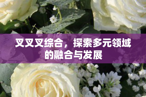 叉叉叉综合,探索多元领域的融合与发展 叉叉叉综合,探索多元领域的融合与发展
