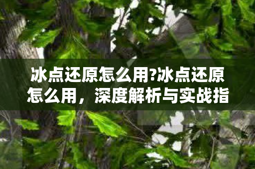 冰点还原怎么用?冰点还原怎么用，深度解析与实战指南
