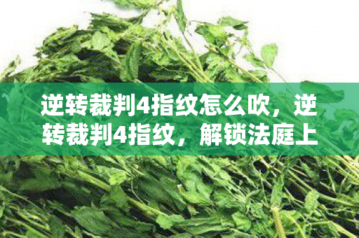 逆转裁判4指纹怎么吹,逆转裁判4指纹,解锁法庭上的真相之谜 逆转裁判4指纹怎么吹,逆转裁判4指纹,解锁法庭上的真相之谜