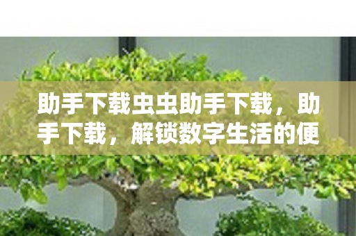 助手下载虫虫助手下载,助手下载,解锁数字生活的便捷钥匙 助手下载虫虫助手下载,助手下载,解锁数字生活的便捷钥匙