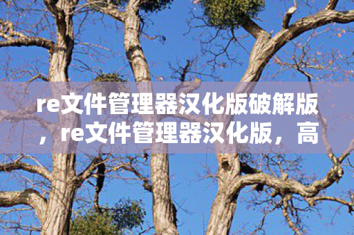 re文件管理器汉化版破解版,re文件管理器汉化版,高效文件管理新体验 re文件管理器汉化版破解版,re文件管理器汉化版,高效文件管理新体验