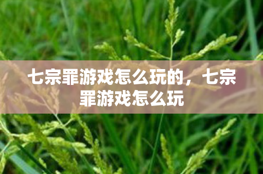 七宗罪游戏怎么玩的，七宗罪游戏怎么玩