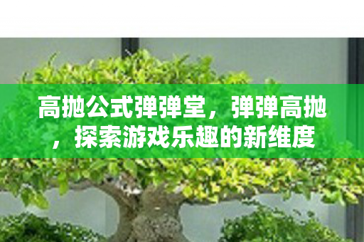 高抛公式弹弹堂，弹弹高抛，探索游戏乐趣的新维度
