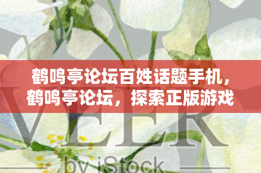 鹤鸣亭论坛百姓话题手机，鹤鸣亭论坛，探索正版游戏的多元魅力