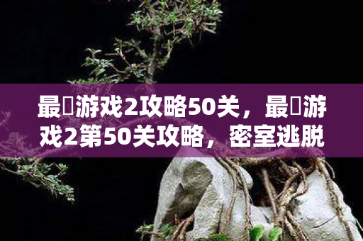 最囧游戏2攻略50关,最囧游戏2第50关攻略,密室逃脱的终极挑战 最囧游戏2攻略50关,最囧游戏2第50关攻略,密室逃脱的终极挑战