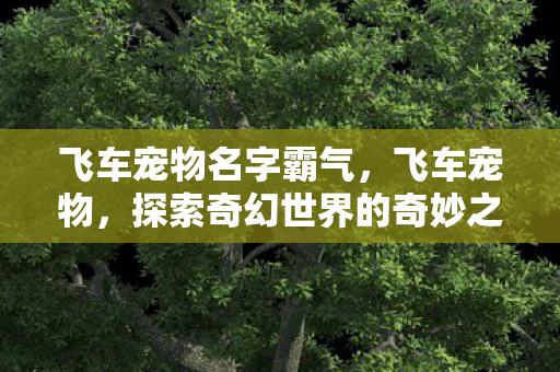 飞车宠物名字霸气,飞车宠物,探索奇幻世界的奇妙之旅 飞车宠物名字霸气,飞车宠物,探索奇幻世界的奇妙之旅