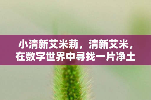 小清新艾米莉,清新艾米,在数字世界中寻找一片净土 小清新艾米莉,清新艾米,在数字世界中寻找一片净土