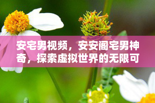安宅男视频,安安阁宅男神奇,探索虚拟世界的无限可能 安宅男视频,安安阁宅男神奇,探索虚拟世界的无限可能
