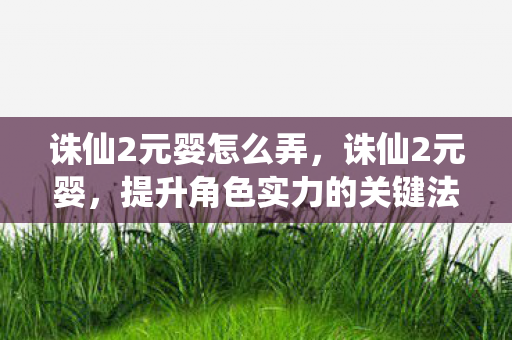 诛仙2元婴怎么弄，诛仙2元婴，提升角色实力的关键法宝