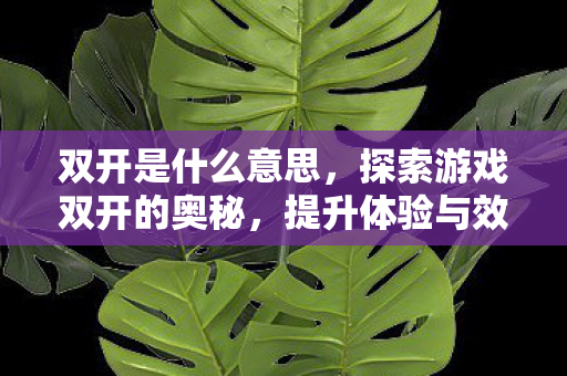 双开是什么意思，探索游戏双开的奥秘，提升体验与效率的新境界
